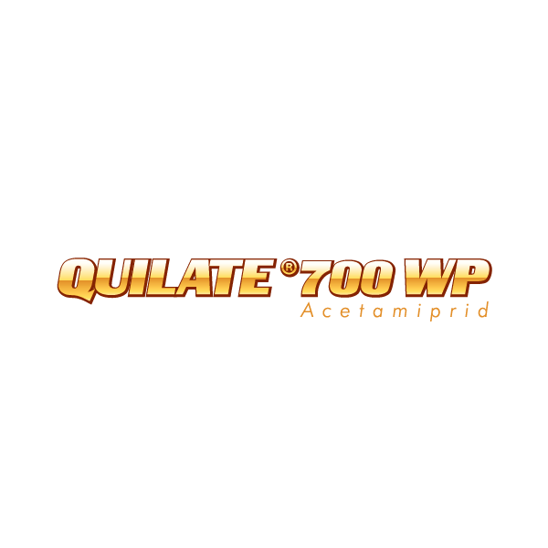 quilate 700